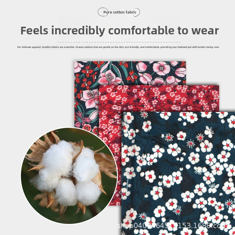 Dog walking outdoors in waterproof harness — Pawnests