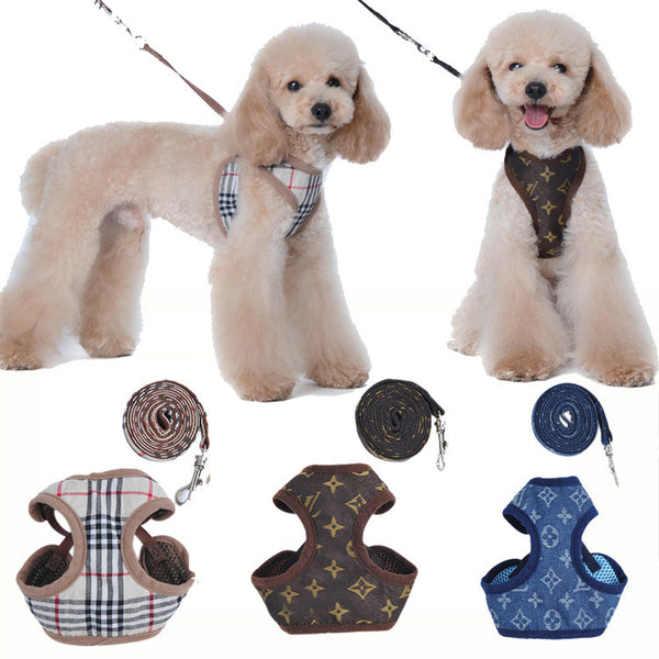 Puppy wearing pink harness and leash set — Pawnests