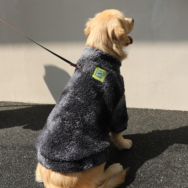Dog jacket easy two-leg fit demonstration — Pawnests