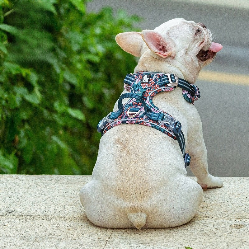 Reflective waterproof dog harness in floral green — Pawnests