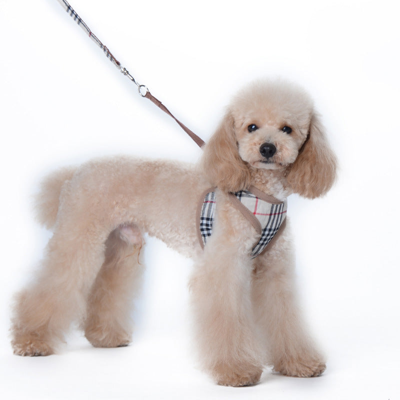 Small dog wearing khaki harness leash set — Pawnests