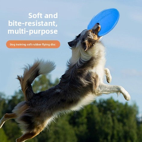 The  outdoor playtime Dog High-Flyer Frisbee Pawnests