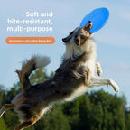 The  outdoor playtime Dog High-Flyer Frisbee Pawnests
