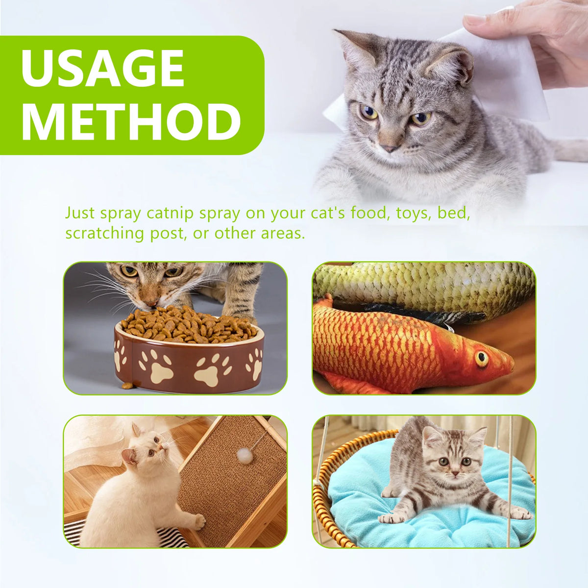 Catnip mist spray for cat enrichment and anxiety relief — safe for kittens | Pawnests