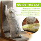Cat playing with toy after catnip spray application — instant engagement | Pawnests
