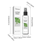 Cat catnip spray usage guide — spray on toys, bed, or scratching post | Pawnests