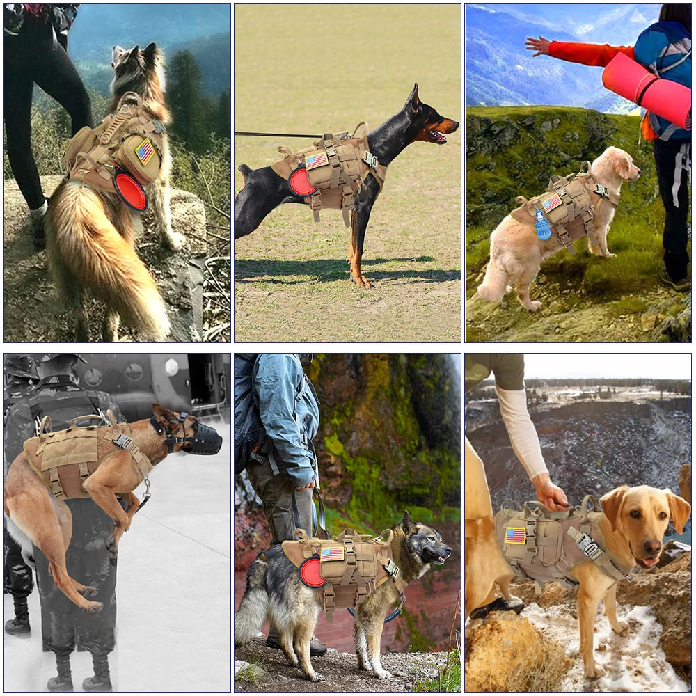 High-Quality Tactical No-Pull Dog Harness Pawnests