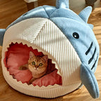 Luxury Plush Shark Pet Cave Pawnests