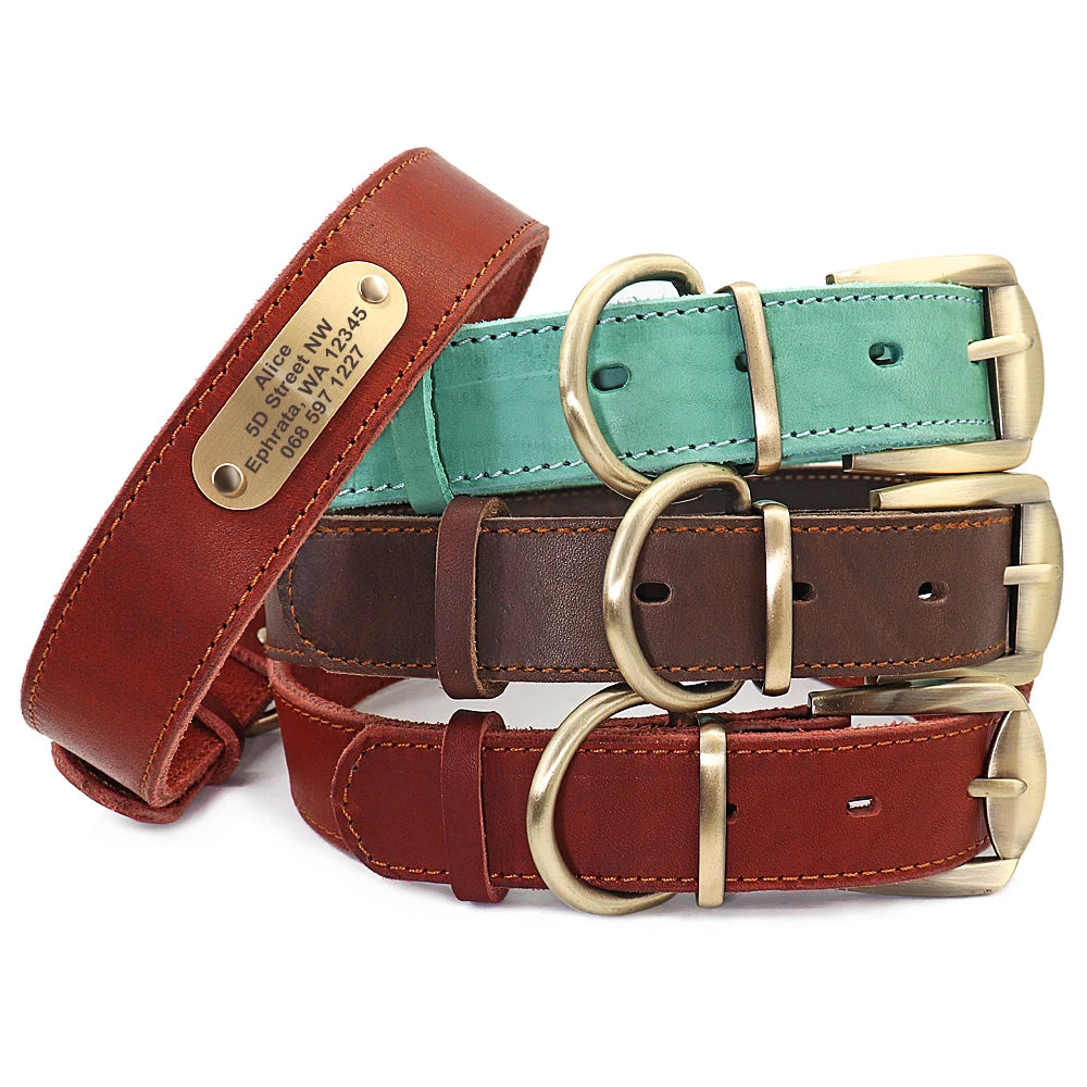 4 lines Custom Padded Collar & Walking Lead Pawnests