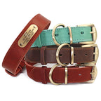 4 lines Custom Padded Collar & Walking Lead Pawnests