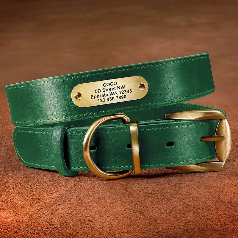 4 lines Custom Padded Collar & Walking Lead Pawnests