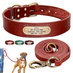4 lines Custom Padded Collar & Walking Lead Pawnests