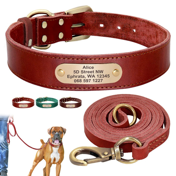 4 lines Custom Padded Collar & Walking Lead Pawnests