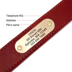 4 lines Custom Padded Collar & Walking Lead Pawnests