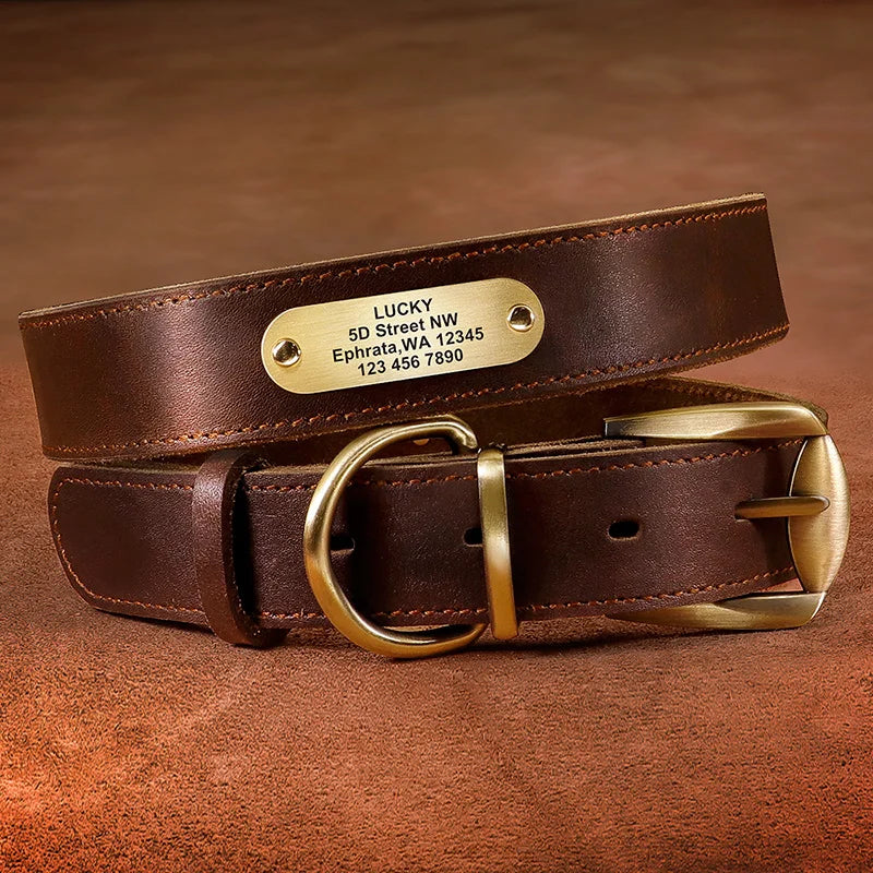 4 lines Custom Padded Collar & Walking Lead Pawnests