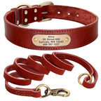 4 lines Custom Padded Collar & Walking Lead Pawnests