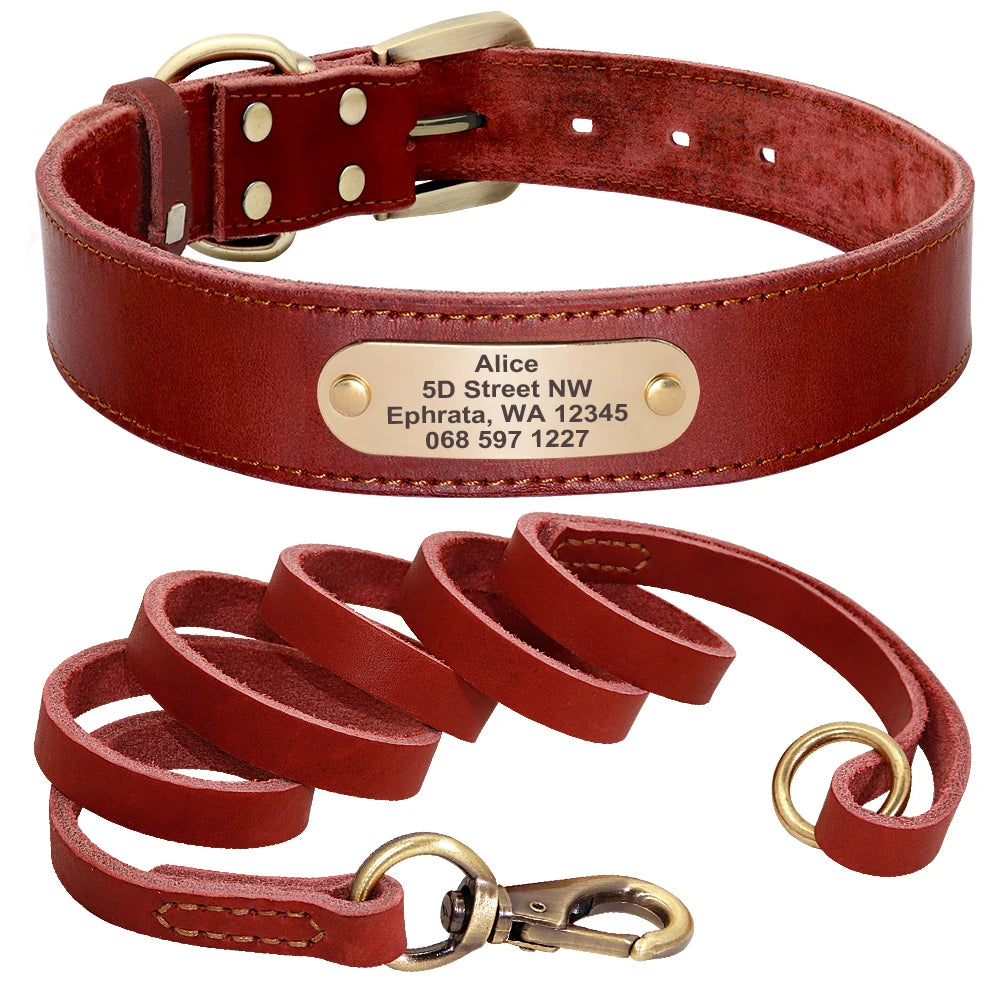 4 lines Custom Padded Collar & Walking Lead Pawnests