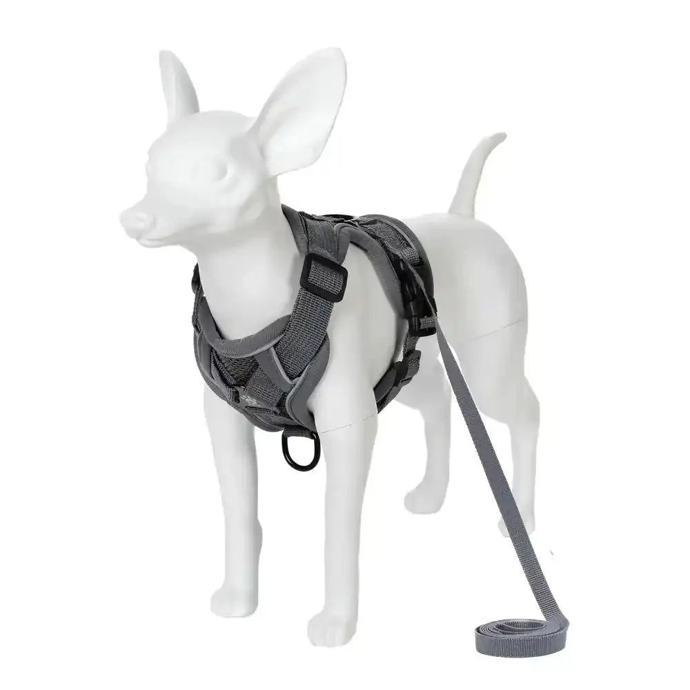 Pawnests Aura | Reflective Breathable Pet Harness & Leash Set Pawnests