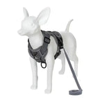 Pawnests Aura | Reflective Breathable Pet Harness & Leash Set Pawnests