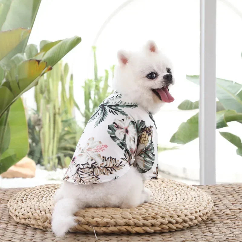 Hawaiian Beach Dog and Cat Shirt – Breezy summer style Pawnests