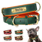 PawNests Choice: The Signature Leather Collar Best of Premium Pet Comfort Pawnests
