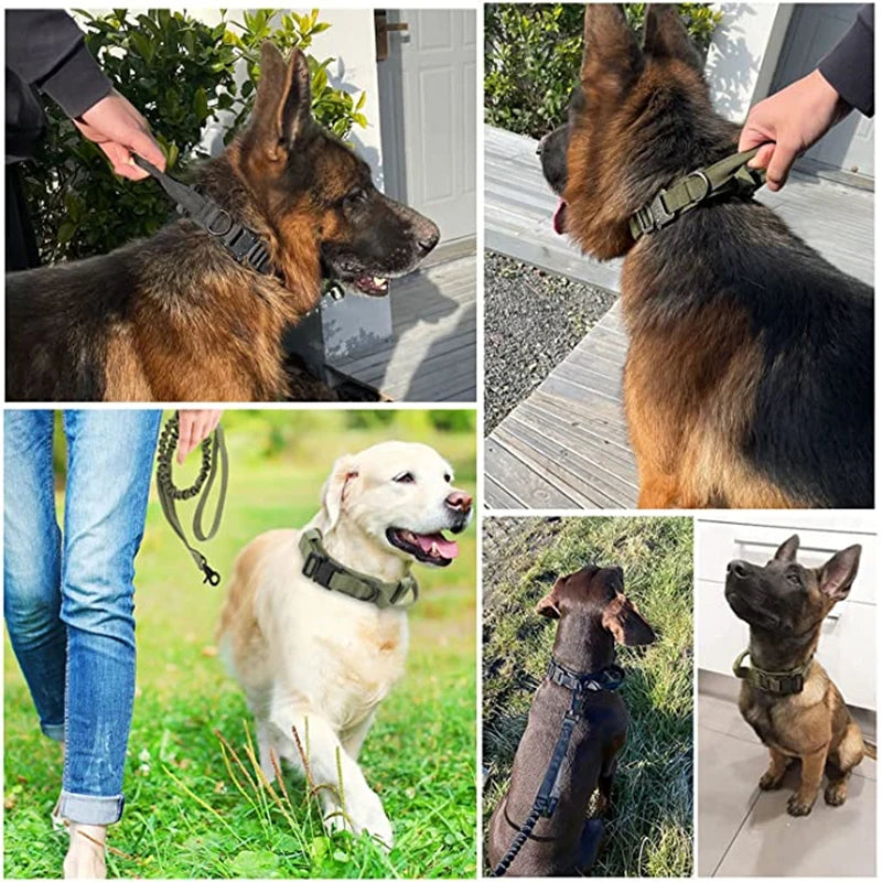 High quality Heavy-Duty Tactical Dog Collar & Leash S Pawnests