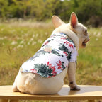 Hawaiian Beach Dog and Cat Shirt – Breezy summer style Pawnests