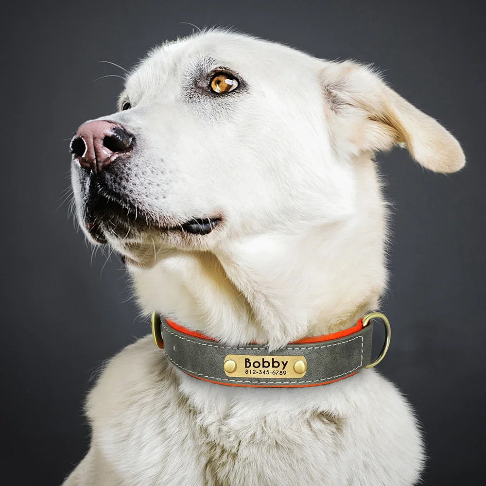 PawNests Choice: The Signature Leather Collar Best of Premium Pet Comfort Pawnests