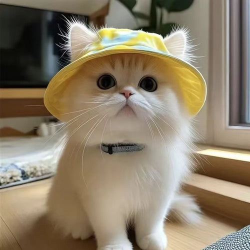 Cat wearing yellow sun hat with ear holes outdoors — UV fisherman cap | Pawnests