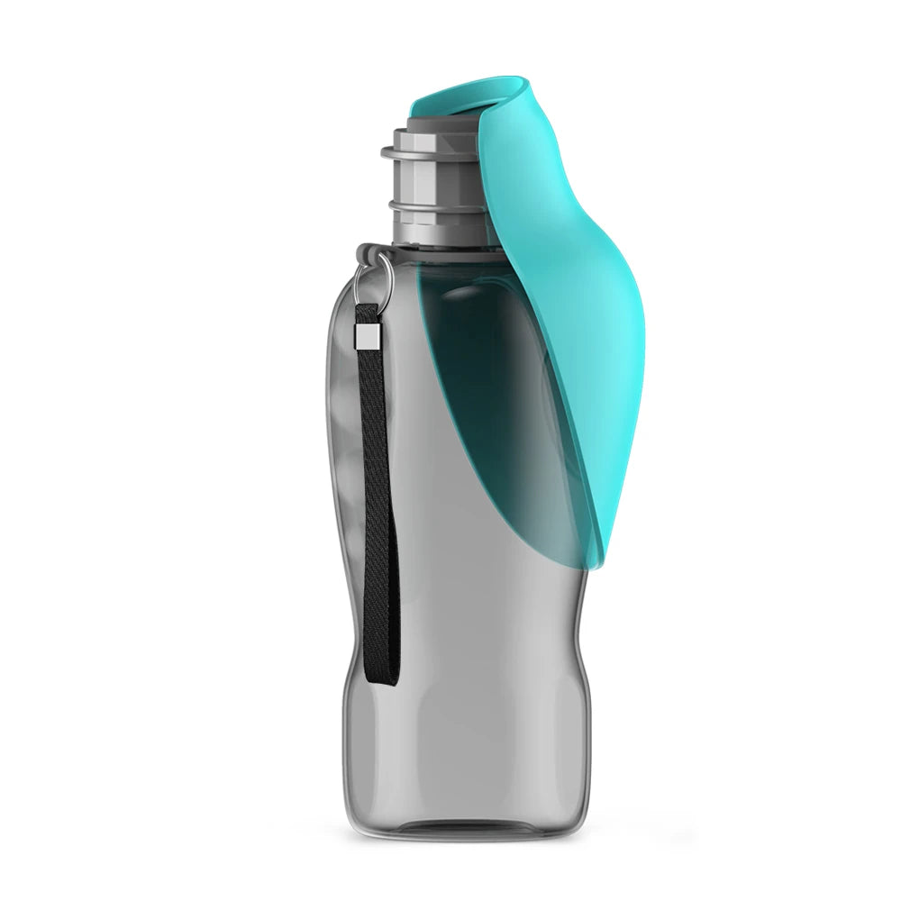 Blue dog water bottle for hiking and travel — Pawnests