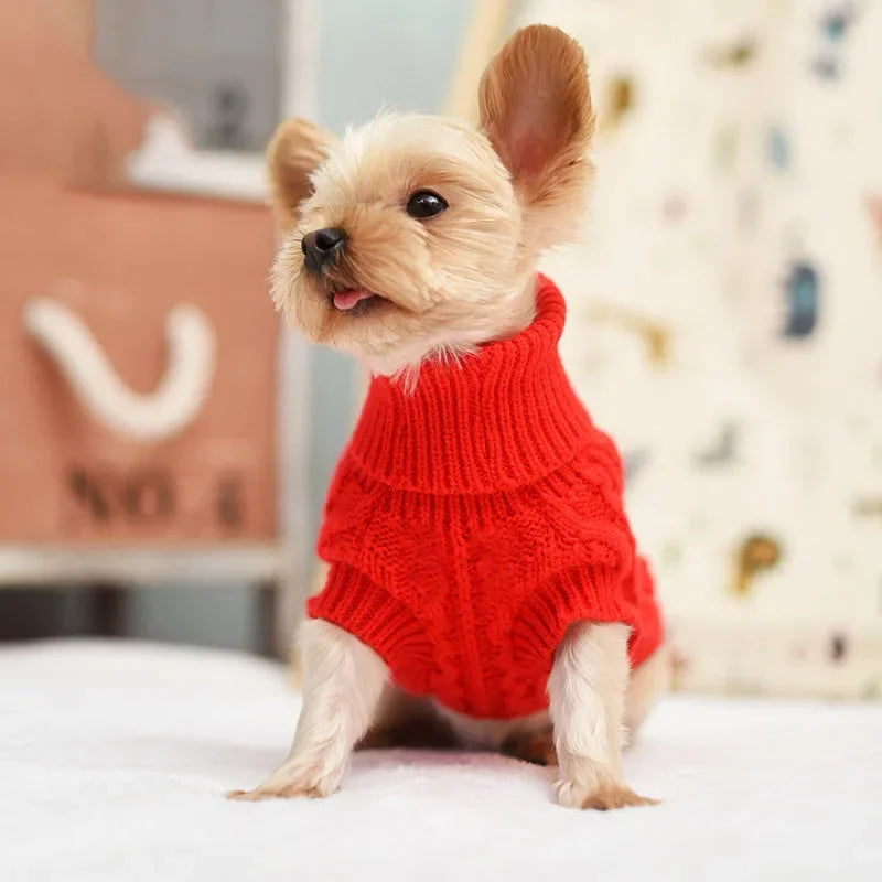 Knitted pet sweater navy blue — small breed cold weather clothes — Pawnests