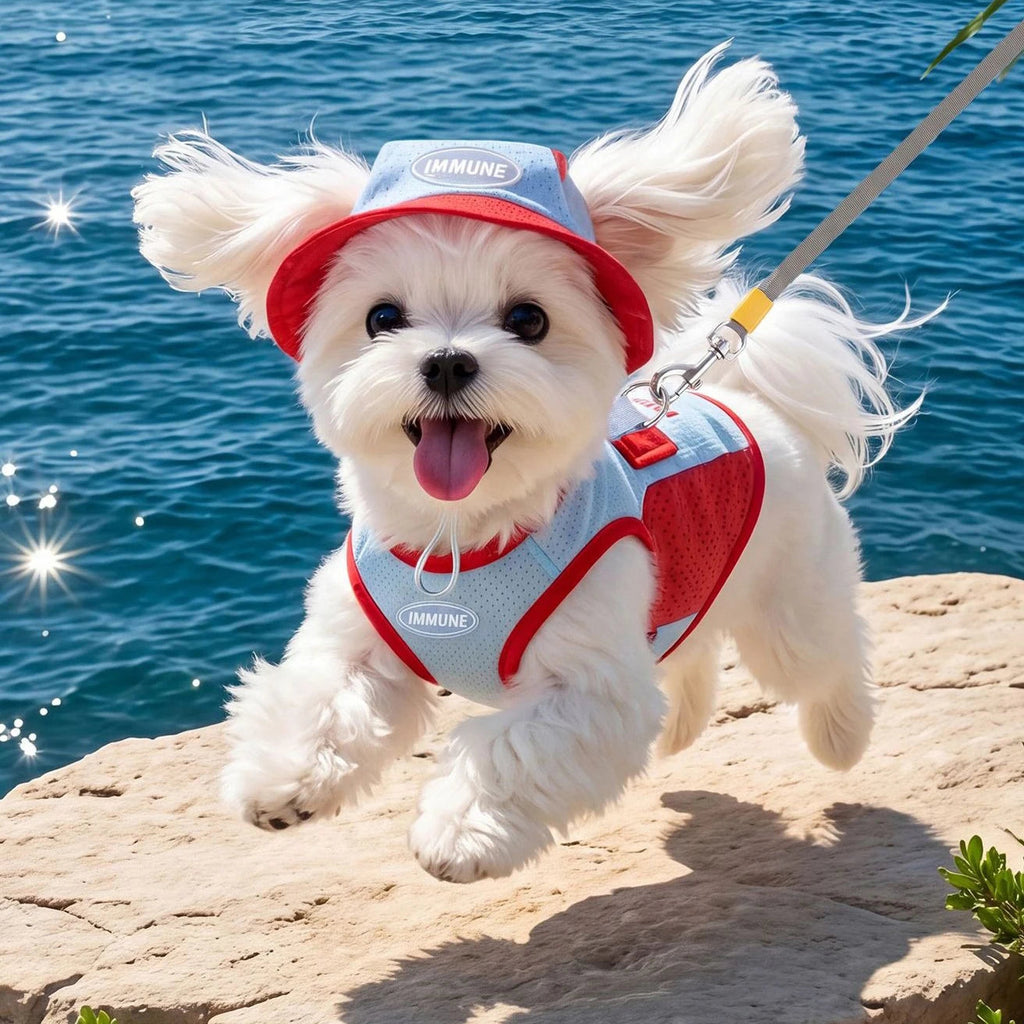Mesh Hooded Pet Cooling Tank Top Pawnests