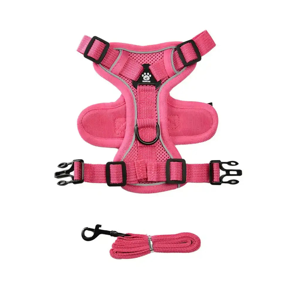 Pawnests Aura | Reflective Breathable Pet Harness & Leash Set Pawnests