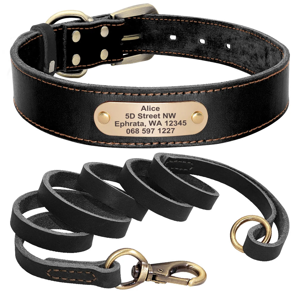 4 lines Custom Padded Collar & Walking Lead Pawnests