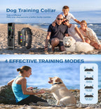 Dog training collar advertisement with family on beach and dog training modes illustration.