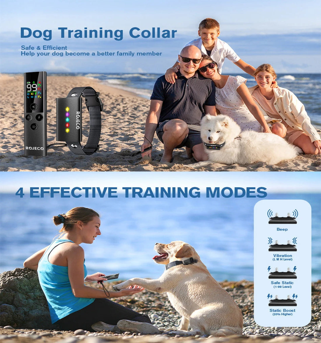 Dog training collar advertisement with family on beach and dog training modes illustration.