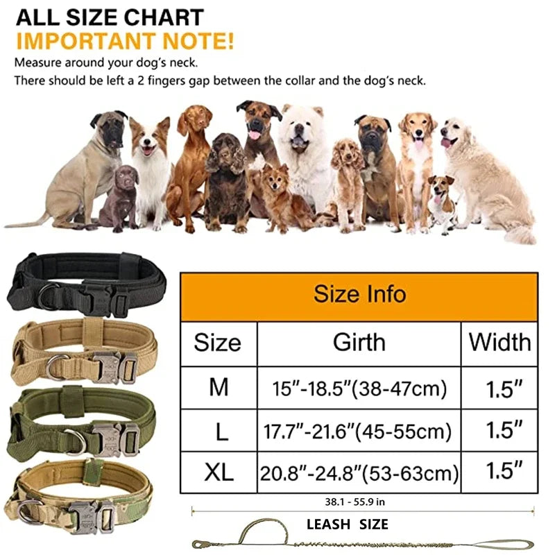 Tactical dog collar and leash set in black — durable D-ring for training and walks | Pawnests