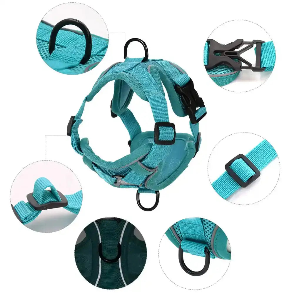 Pawnests Aura | Reflective Breathable Pet Harness & Leash Set Pawnests