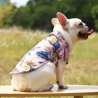 Hawaiian Beach Dog and Cat Shirt – Breezy summer style Pawnests