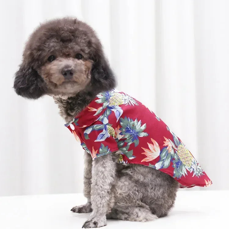 Hawaiian Beach Dog and Cat Shirt – Breezy summer style Pawnests