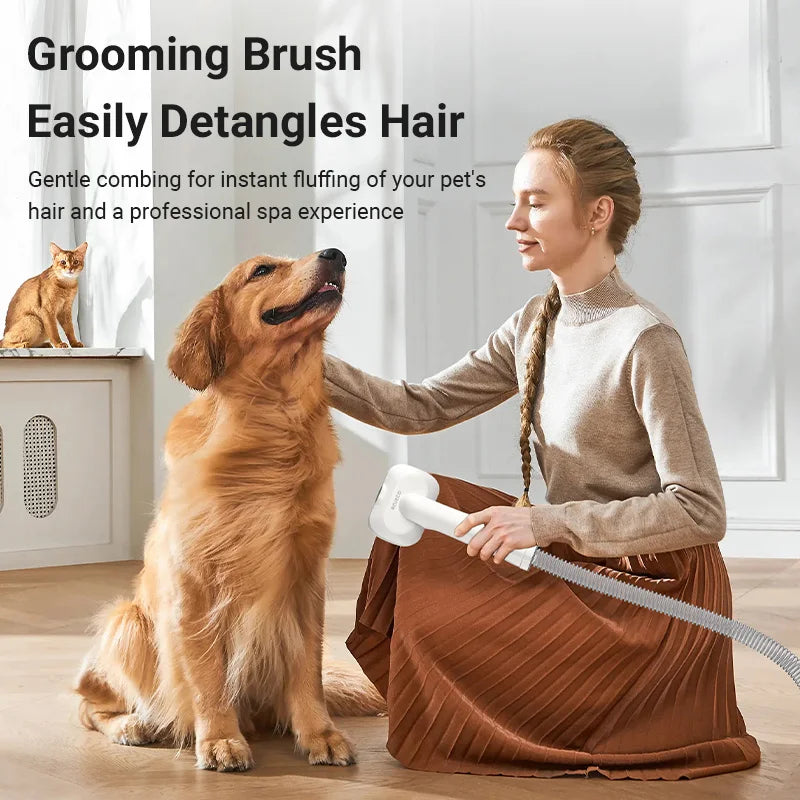 Woman grooming a dog with a brush, cat sitting on a cabinet in the background.