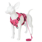 Pawnests Aura | Reflective Breathable Pet Harness & Leash Set Pawnests