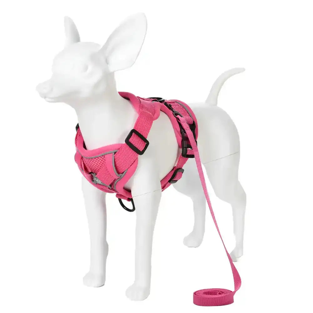 Pawnests Aura | Reflective Breathable Pet Harness & Leash Set Pawnests