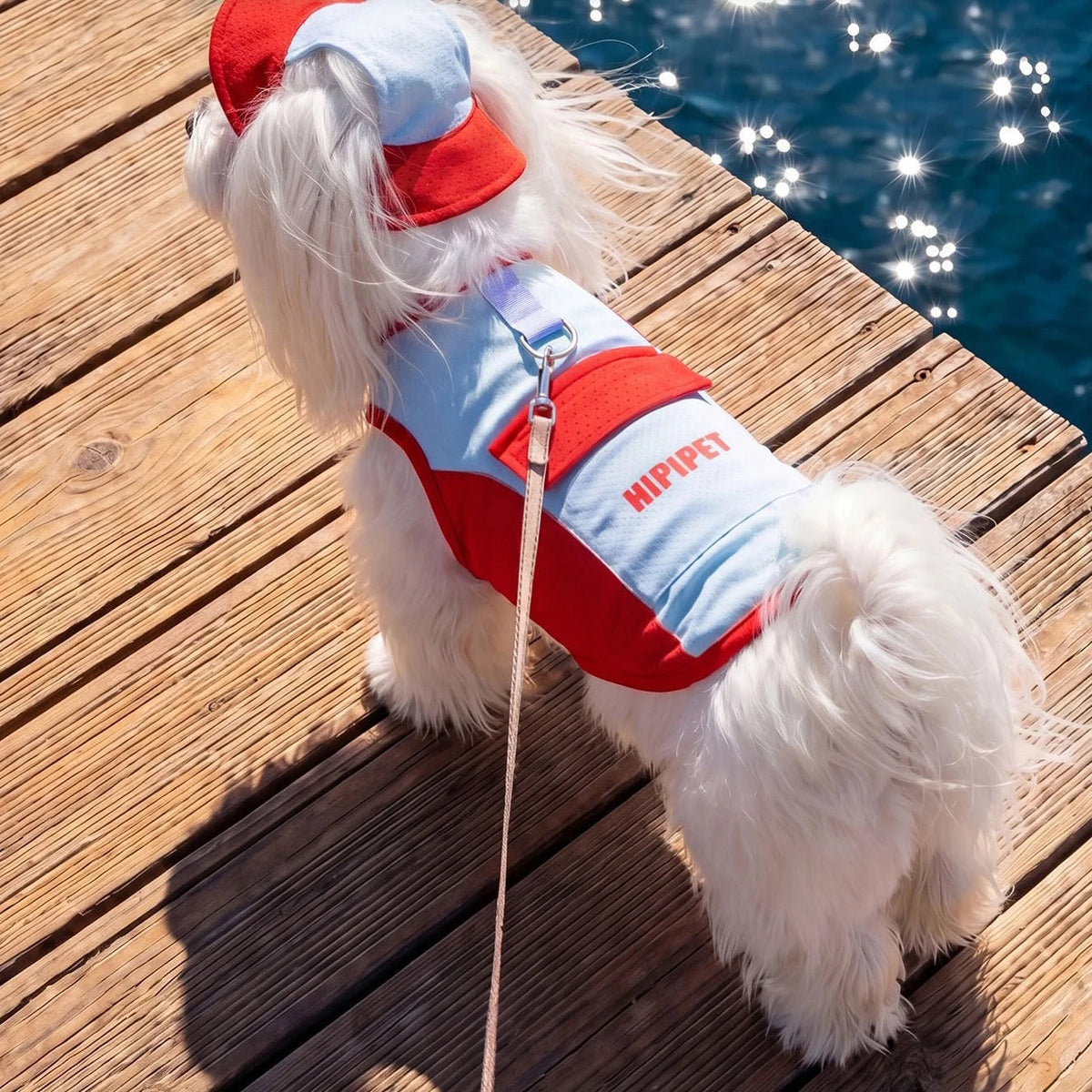 Mesh Hooded Pet Cooling Tank Top Pawnests