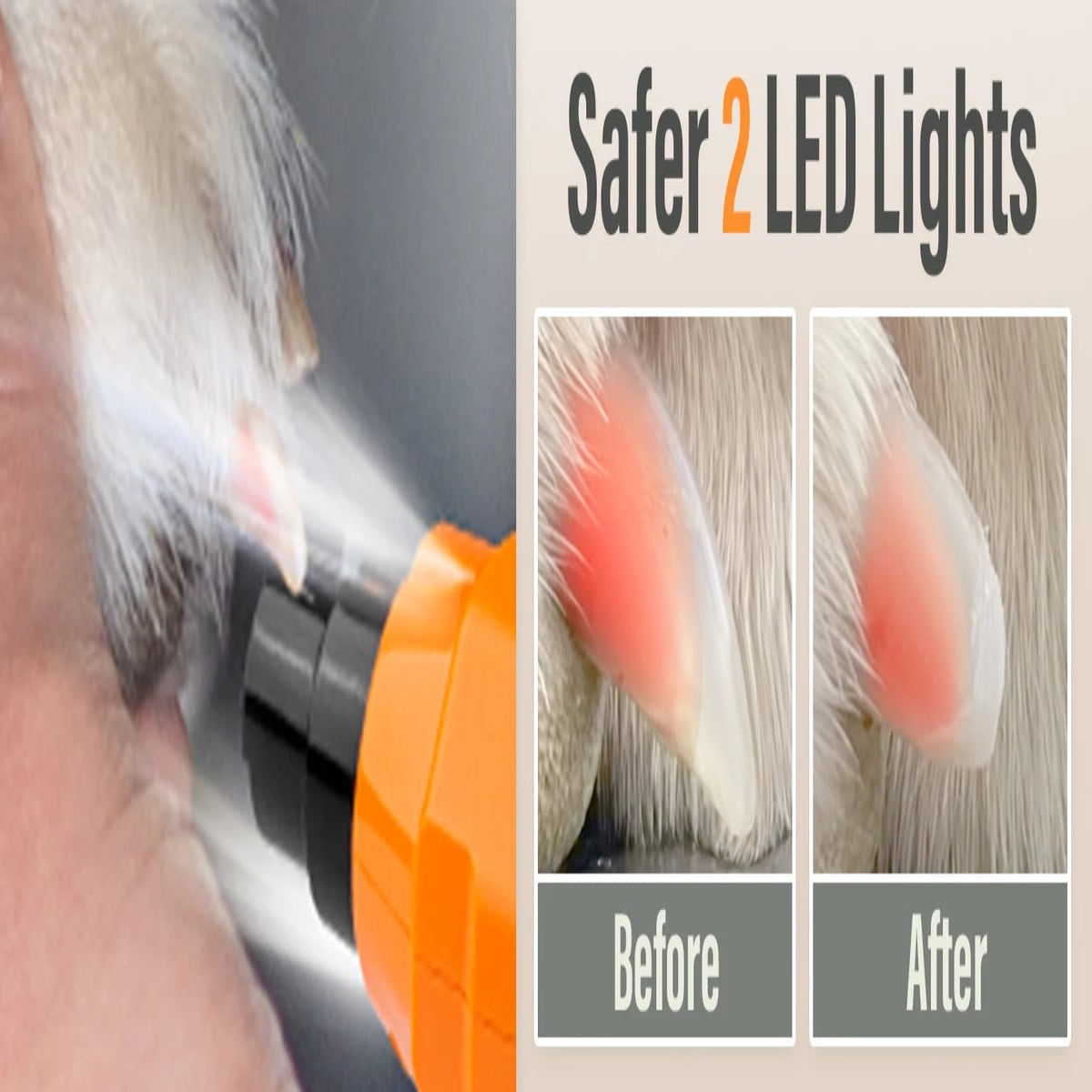 Pet nail trimmer with LED lights showing 'Before' and 'After' effects on a dog's paw.