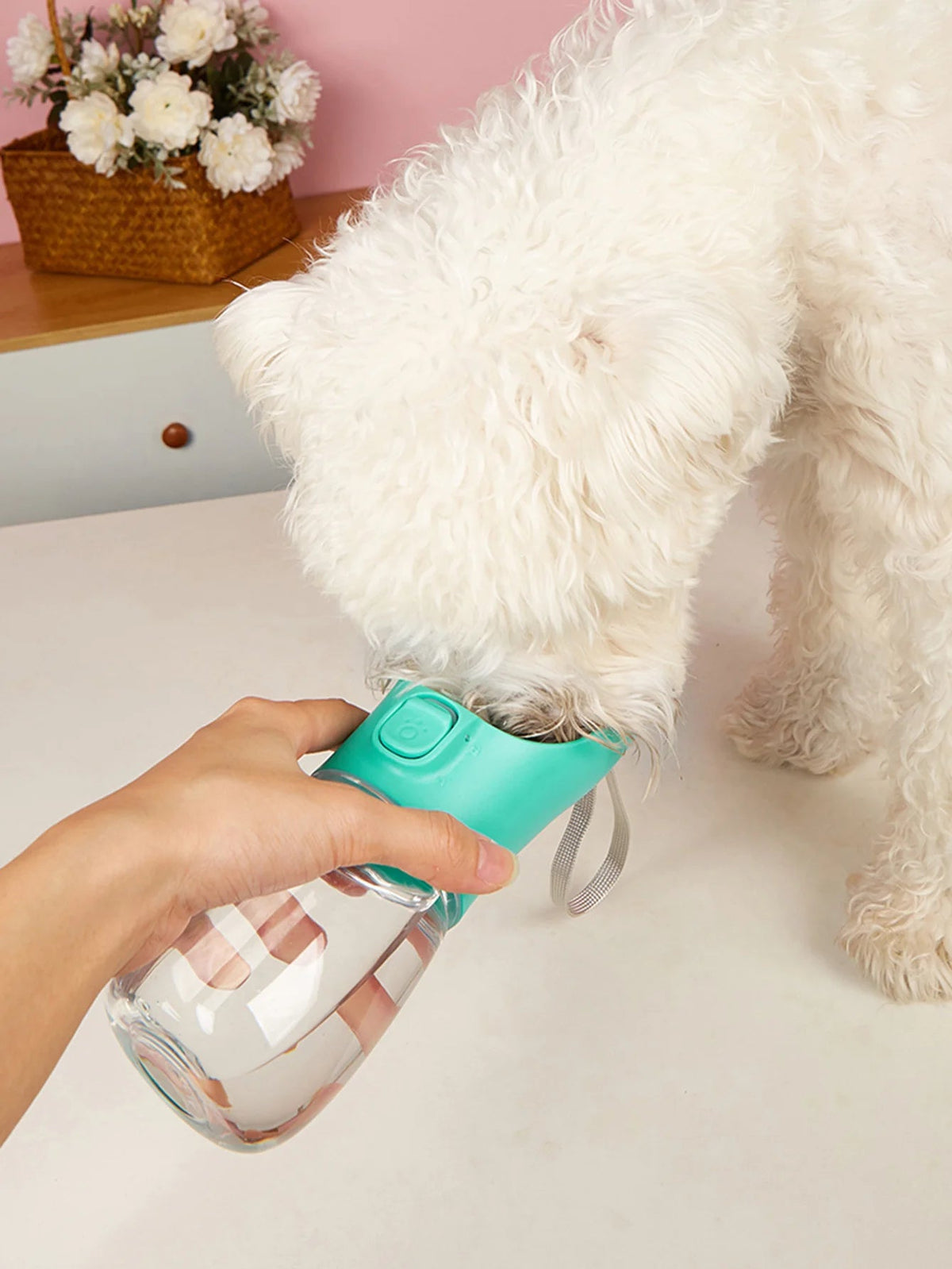 Portable Leakproof Dog Water Bottle Pawnests