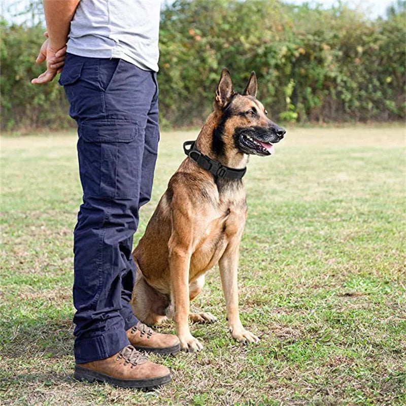 High quality Heavy-Duty Tactical Dog Collar & Leash S Pawnests