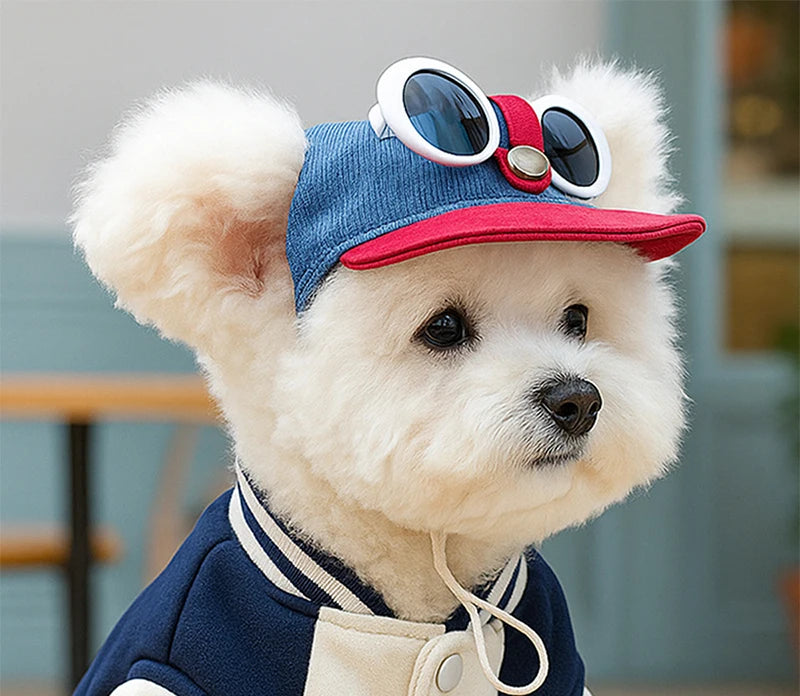 Trendy Pet Sun Hat & Sunglasses Set Pawnests