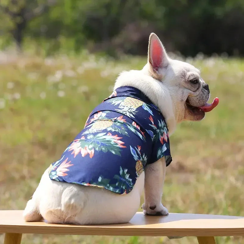 Hawaiian Beach Dog and Cat Shirt – Breezy summer style Pawnests