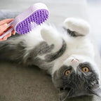AeroBrush | 3-in-1 Foldable Steam Pet Brush Pawnests